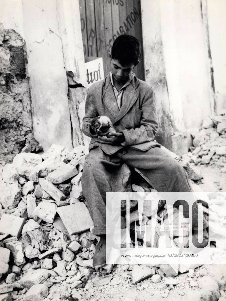 Accidents Disasters Fires Floods Tragedies 14 September 1954 Scenes of Earthquake in Algeria a Youngster Local Boy with a Kittens in the Ruins his through the Earthquake destroyed House in the Area from Orelansville Picture credits Keystone Pictures USA ZUMAPRESS Com