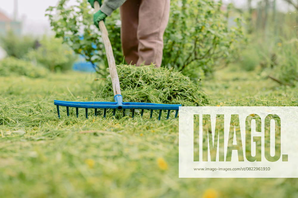 Person raking grass in a vegetable garden during summer on a farm model released, Symbolfoto, ANAF04728