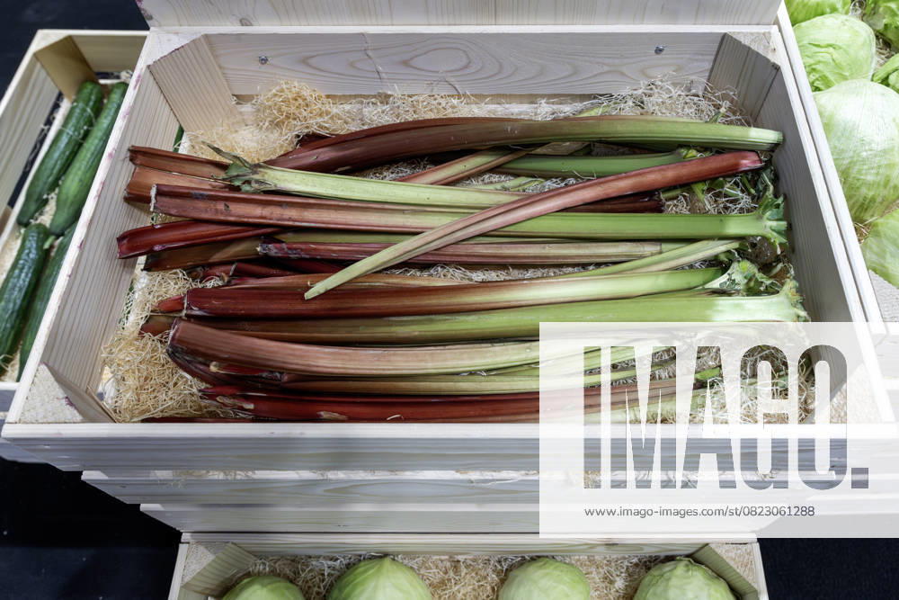 Rhubarb, Switzerland