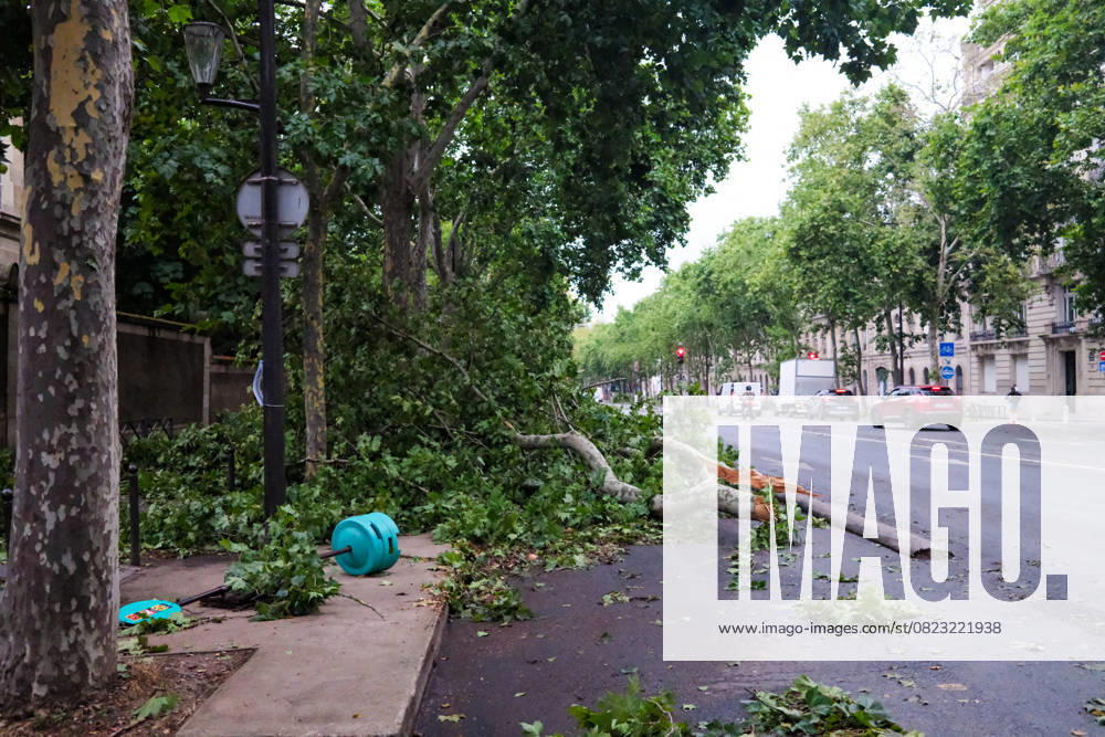 Recovery After Violent Storms in Paris - Paris Trees and branches torn from the ground in the streets of the capital. Paris in the aftermath of the violent storms that hit the capital on the evening of Wednesday, June 25, 2025. Trees uprooted, branches torn off, bike paths flooded: the consequences of gusts of up to 90 km h and intense rain are visible in several neighborhoods. Paris, France, June 26, 2025. Photo by Christopher Charpaud ABACAPRESS.COM Paris Ile-de-France France
