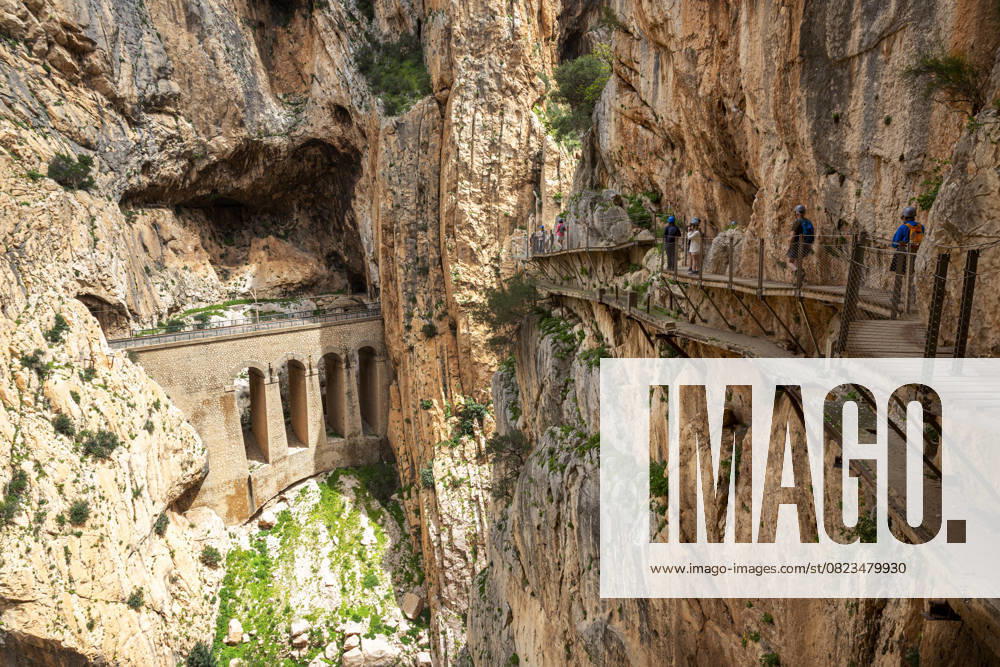 Caminito del Rey Die Schmale Holzbrücke vom Caminito del Rey Weg spannt über eine dramatische Felsenschlucht inmitten der Natur, Malaga, Spanien, Europa (License=RM)