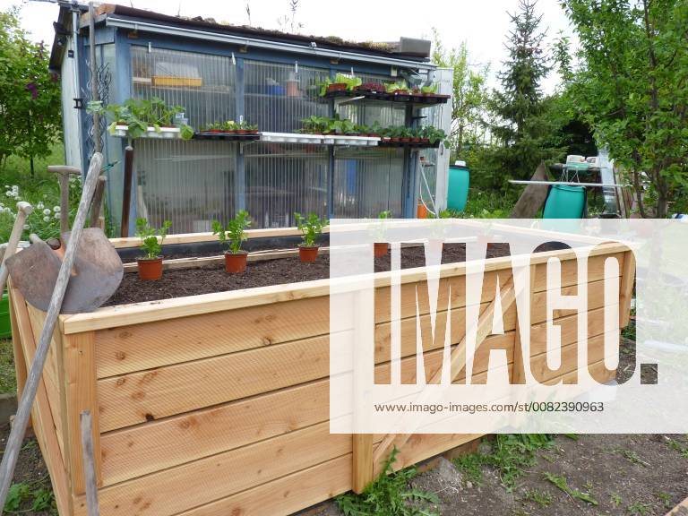 Raised bed in the garden can be planted Raised bed in garden ready for being planted 1088810229