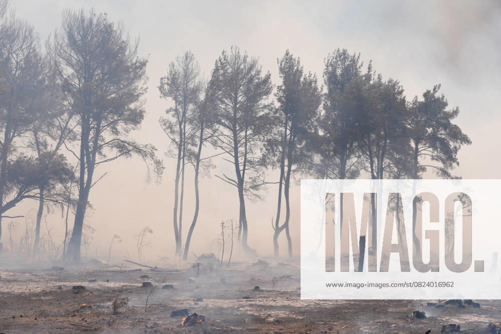 KW27 Firefighting efforts continue in the Buca district of Izmir IZMIR, TURKIYE - JULY 04: A general view of the burned forest area as firefighters and Turkish General Directorate of Forestry teams continue their efforts to extinguish the fire that broke out in the forest area on July 04, 2025 in Buca district of Izmir, Turkiye. Hakan Akgun Anadolu Izmir Turkey. Editorial use only. Please get in touch for any other usage.