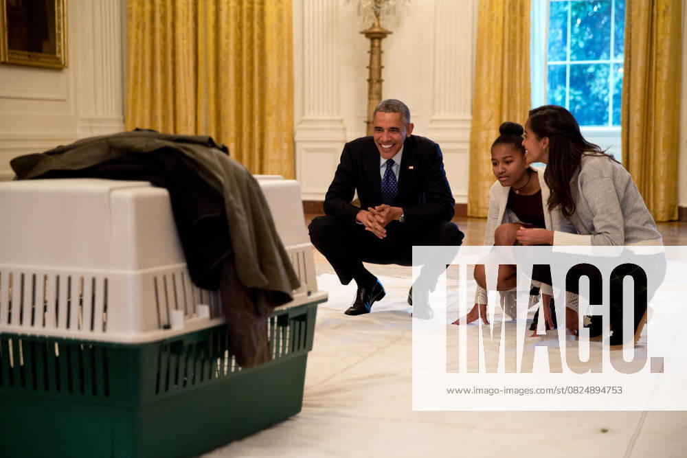Archives Barack Obama and his many meetings with children Nov 26, 2014 The President and his daughters Malia and Sasha look at Mac the turkey in the East Room prior to the annual National Thanksgiving Turkey pardon ceremony at the White House The President pardoned Cheese publicly, though both Mac and Cheese were spared to live out