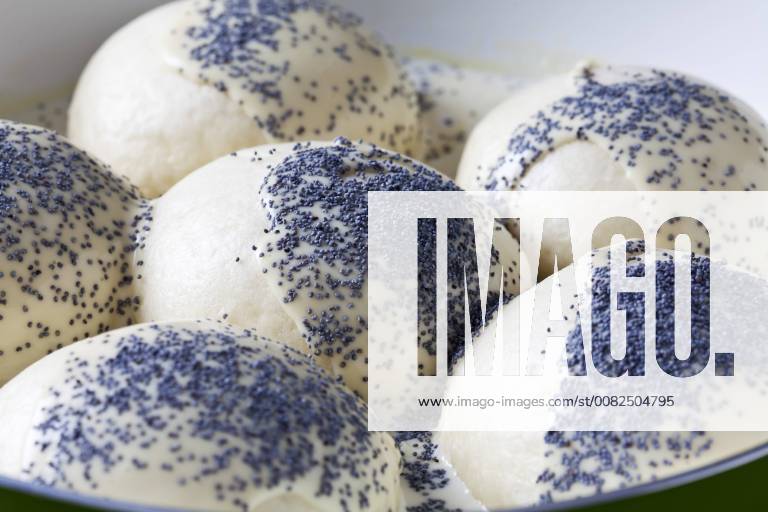 IMAGO Creative: Food, Mohn Pan of prepared yeast dumpling in vanilla sauce sprinkled with poppy seed, close-up CSF28757