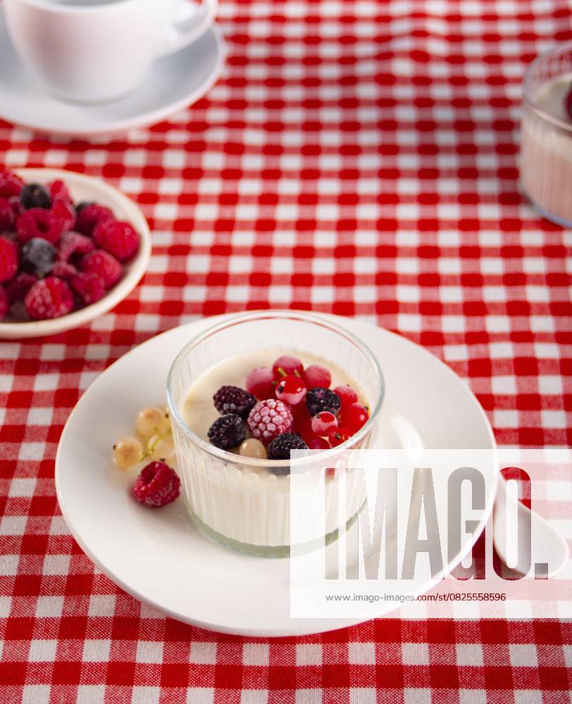 Frischer hausgemachter Joghurt mit verschiedenen Beeren auf rot kariertem Tischtuch. Gesundes Frühstückskonzept Fresh homemade yogurt with various berries on red checkered tablecloth. Healthy breakfast concept