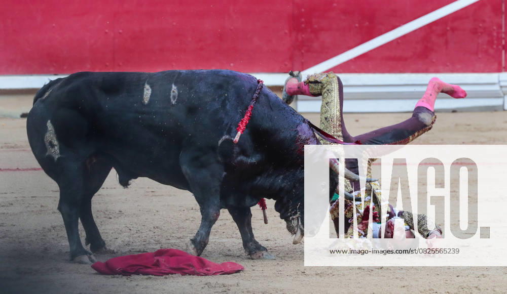Bilder des Jahres 2025, Entertainment 07 Juli Entertainment Themen der Woche KW28 Fernando Adrian is tossed by a named Ardoso, weighing 595 kilos, from the ranch of La Palmosilla in the bullfight in the Feria del Toro, part of the famed Fiesta de San Fermín in Pamplona, Spain on Sunday, July 13, 2025. Adrian was able to return to the fight and was awarded two ears and carried on shoulders from the bullring. The fiesta ends tomorrow at midnight. PAM2025071312 JimxHollander