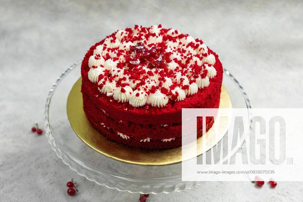 Runder roter Samtkuchen mit weißer Frischkäseglasur, dekoriert mit roten Johannisbeeren Round red velvet cake with white cream cheese frosting decorated with red currant berries
