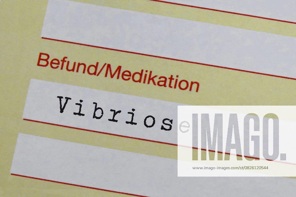 Certificate of incapacity for work and diagnosis of vibriosis Photomontage Certificate of incapacity for work and diagnosis of vibriosis, 17 07 2025, Borkwalde, Brandenburg, On a certificate of incapacity for work is the diagnosis of vibriosis