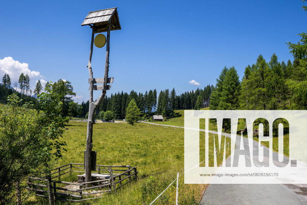 Hermagor AUT, Oesterreich, Reise, Berge, Gebirge, Kaernten, Eggeralm, 15 07 2025 The Egger Alm is a popular excursion destination in the mountains of Kaernten AUT, Oesterreich, Reise, Berge, Gebirge, Kaernten, Eggeralm