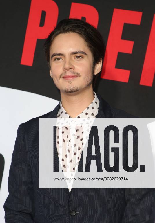 WESTWOOD, CA - APRIL 3: Miles Robbins, at the Premiere Of Universal Pictures Blockers at the Regency Village Theatre in Westwood, California on April 3, 2018.