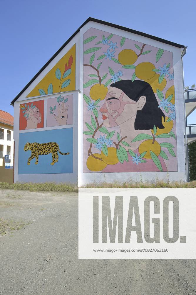Mural The Revival von Alin Mor 2022, Streetart, Graffiti, Wandmalerei, Hausfassade, Wiederbelebung, wiederbeleben, Leopard, Jaguar, Raubtier, Kopf, Gesicht, Hand, Auge, Früchte, Obst, Schmalkalden, Franken, Thüringen, Deutschland Mural The Revival by Alin Mor 2022, street art, graffiti, mural, house facade, revival, revive, leopard, jaguar, predator, head, face, hand, eye, fruit, fruit, Schmalkalden, Franconia, Thuringia, Germany