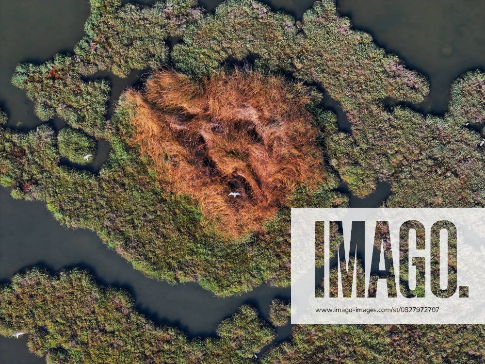 Bilder des Jahres 2025, News 07 Juli Turkiye s Cakalburnu Lagoon attracts attention with its natural beauties IZMIR, TURKIYE – JULY 16: Aerial view of the Cakalburnu Lagoon in southern Gulf of Izmir, revealing intricate wetland patterns that serve as a vital feeding habitat for birds, juvenile fish, and other wildlife, captured on July 16, 2025. Lokman Ilhan Anadolu Izmir Turkey. Editorial use only. Please get in touch for any other usage.