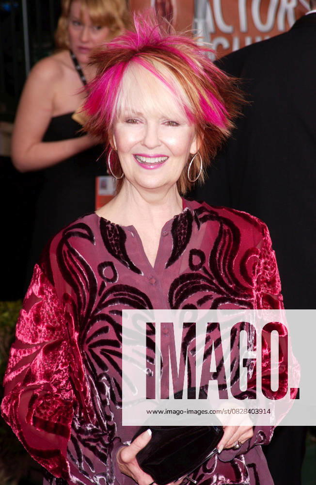 10th Annual Screen Actors Guild Awards - ARRIVALS Feb 22, 2004; Hollywood, CA, USA; Actress SHELLEY FABARES arriving at the 10th Annual Screen Actors Guild Awards held at the Shrine Auditorium.