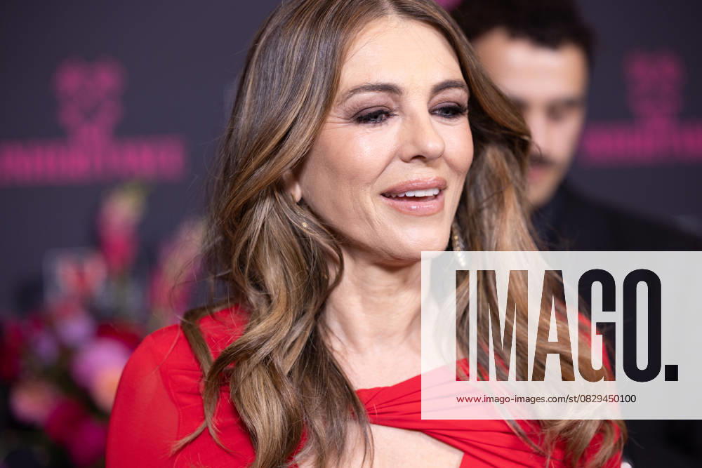 Channel 4s The Inheritance premiere Guests attend Channel 4s The Inheritance premiere at The Ned Featuring: Elizabeth Hurley Where: London, United Kingdom When: 06 Aug 2025 Credit: Phil Lewis WENN London United Kingdom