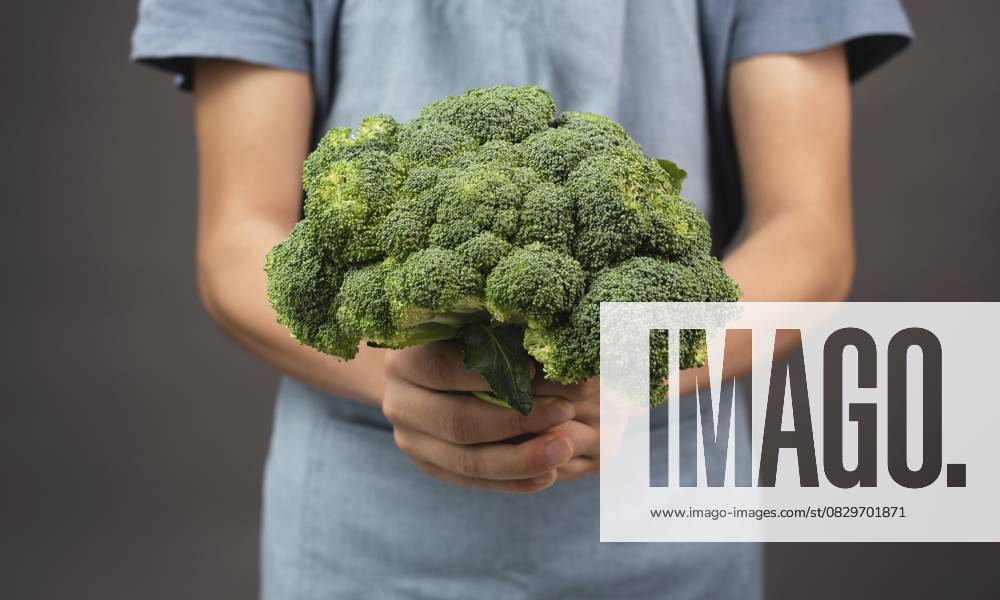 Frischen Bio Brokkoli in der Hand halten, gesundes Essen mit Gemüse, Ernte und Landwirtschaft zubereiten Holding fresh organic broccoli in the hand, prepare healthy food with vegetables, harvest and agriculture