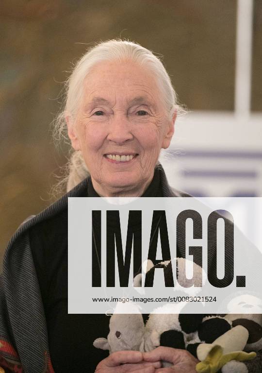 IMAGO ICONS: Jane Goodall April 30, 2018 - Beverly Hills, California, U.S - Jane Goodall, Founder, Jane Goodall Institute during the 2017 Milken Institute Global Conference held Monday April 30, 2018 at the Beverly Hilton Hotel in Beverly Hills, California. Beverly Hills U.S. - ZUMAp124 20180430_zaa_p124_541