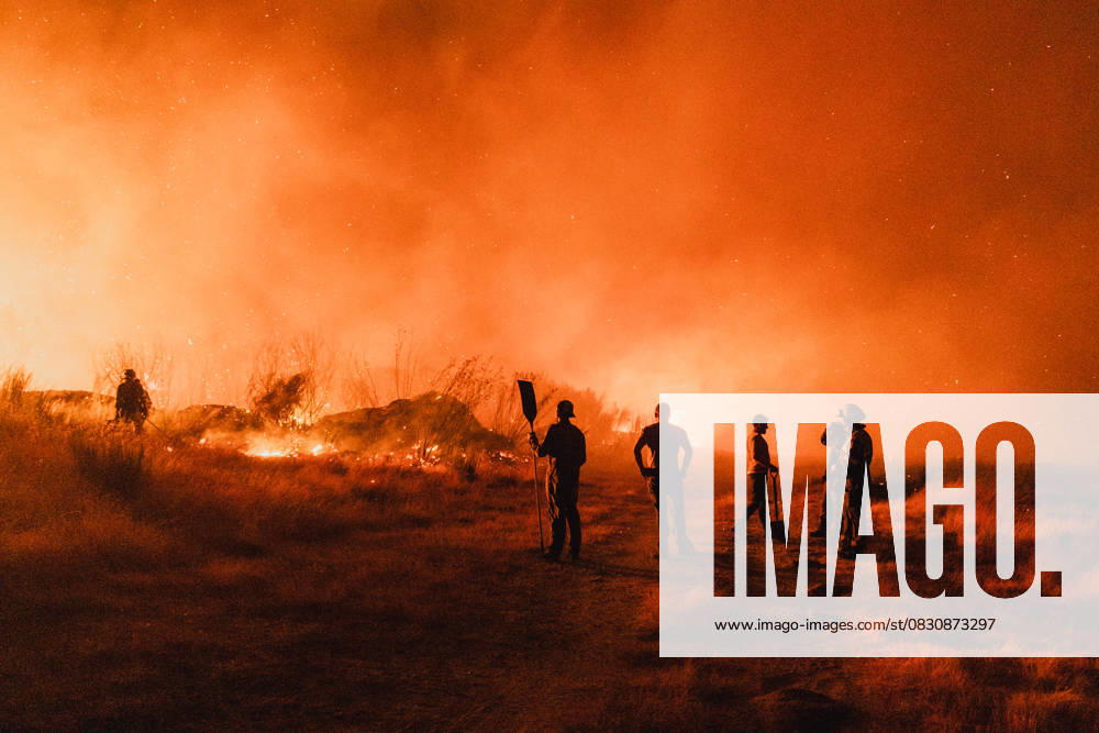 Forest Fire in Spain OURENSE, GALICIA, SPAIN – AUGUST 19: Firefighters and local forest brigadiers work overnight to contain a wildfire threatening residential areas in the parish of Bouses, located in Oimbra, Ourense, Galicia, Spain, on August 19, 2025. Pedro Pascual Anadolu Ourense Spain. Editorial use only. Please get in touch for any other usage.