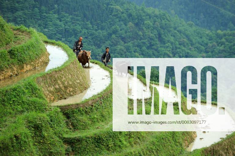 (180507) -- RONGJIANG, May 7, 2018 -- Villagers of Miao ethnic group work in the terraced fields in a Miao ethnic village in Rongjiang County, southwest China s Guizhou Province, May 7, 2018. ) (sxk) CHINA-GUIZHOU-RONGJIANG-TERRACE SCENERY (CN) YangxWenbin