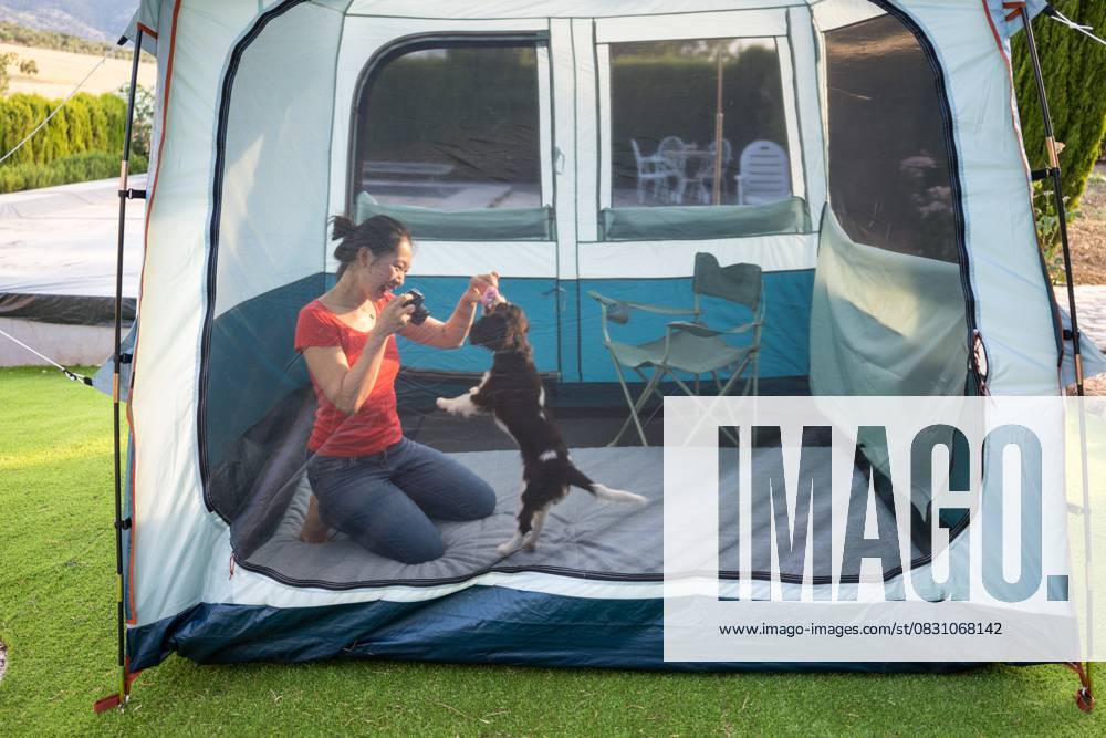 Woman photographing her Cavalier King Charles Spaniel An Asian woman kneels with a camera, capturing playful moments of her Cavalier King Charles Spaniel inside a tent. The dog eagerly jumps for attention as she smiles Model Released JuanAlbertoRuiz_ID30620_1035859_009