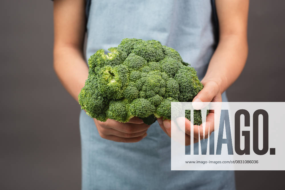 Fresh Bio Broccoli in the Hand hold, Healthy Food with Vegetables, Harvest and Agriculture Preparation 1133602683