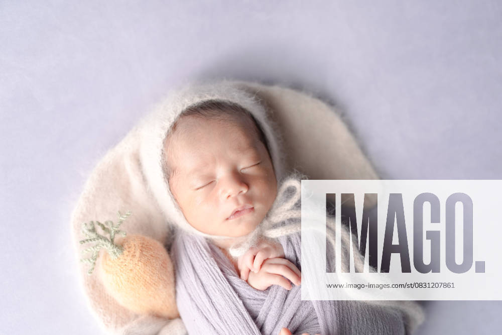 Ein professionelles Neugeborenenfoto von einem zwei Wochen alten japanischen Baby, das tief und fest schläft, eingewickelt in ein kuscheliges Tuch auf einem lavendelfarbenen Hintergrund, mit einer Hasenmütze und einem Hasen- und Karottenplüschtier in der A professional newborn photo of a two-week-old Japanese baby sleeping soundly, wrapped in a cozy swaddle on a lavender background, wearing a bunny hat with a bunny and carrot plush toy placed nearby. (License=RF) ,model released, Symbolfoto