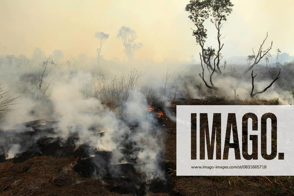 (250827) -- SOUTH SUMATRA, Aug. 27, 2025 -- This photo shows smoke rising from a peatland fire at Palen Raya village in Ogan Ilir regency, South Sumatra province, Indonesia on Aug. 27, 2025. (Photo by Xinhua) INDONESIA-SOUTH SUMATRA-PEATLAND FIRE M.xHatta