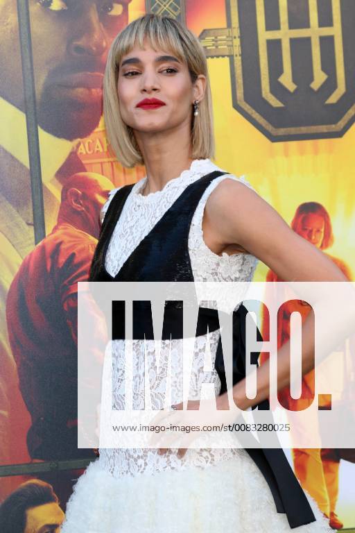 WESTWOOD, CA - MAY 19: Sofia Boutella at the premiere of Global Road Entertainment s Hotel Artemis at Regency Village Theatre on May 19, 2018 in Westwood, California.