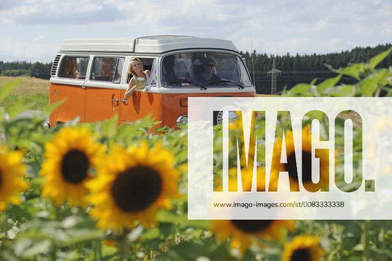 Couple in old camper driving through sunflower field model released Symbolfoto property released CRF02782