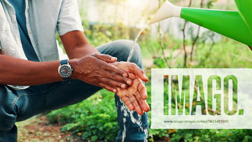 Environment, washing hands and watering can with person on farm for cleaning, hydration or hygiene. Agriculture, bacteria and sustainability with farmer outdoor in green countryside for agribusiness Environment, washing hands and watering can with person on farm for cleaning, hydration or hygiene. Agriculture, bacteria and sustainability with farmer outdoor in green countryside for agribusiness., model released, , 95506064.jpg RECORD DATE NOT STATED