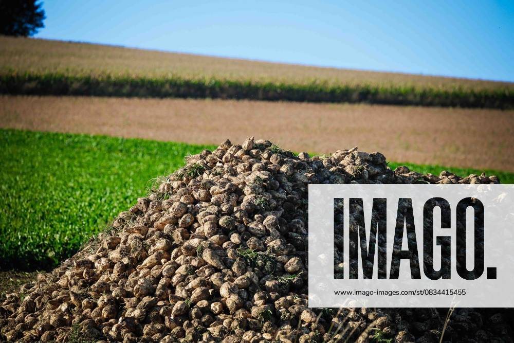 IMAGO stock photo