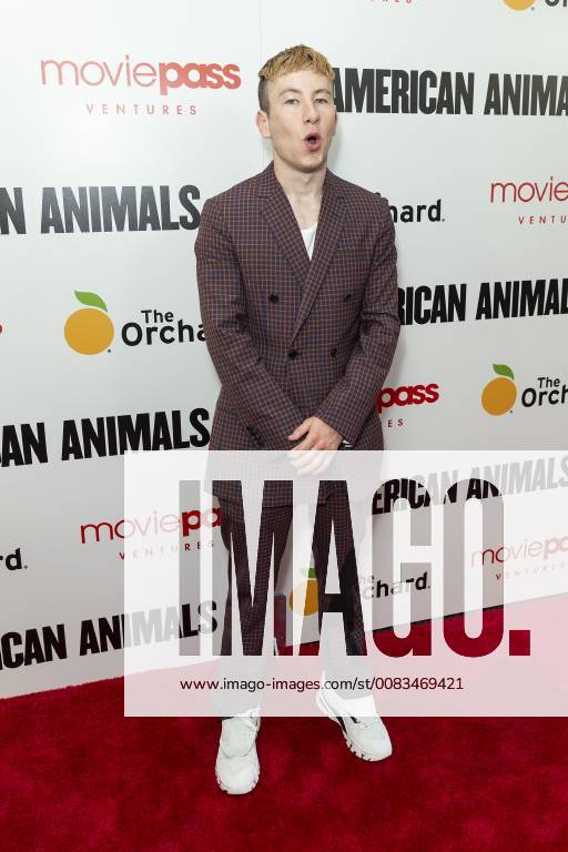 USA: American Animals premiere in New York Barry Keoghan attends American Animals premiere at Regal Union Square New York New York United States Regal Union Square LevxRadin