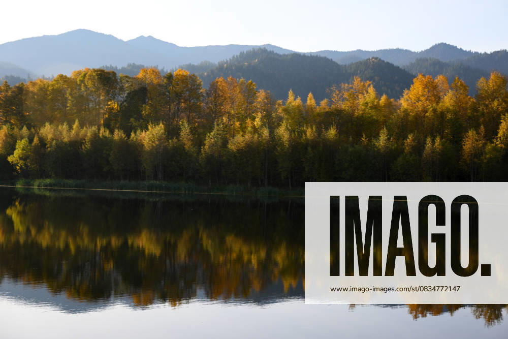 Russia Environment Baikal Lake Protection Law 9010738 20.09.2025 A view shows waste storage areas of the closed Baikal Pulp and Paper Mill in Irkutsk region, Russia. On July, 2023, Russian lawmakers in the country s lower house of parliament, the State Duma, have passed in the first reading a bill authorizing large-scale logging around Lake Baikal for a period of ten years what caused a public outcry. The permission was necessary for the expansion of the Baikal-Amur and Trans-Siberian railroads. The proposed law provides a mechanism for forests situated on protected lands to be reclassified into other land categories, allowing for deforestation and also specifies that clearcutting will be permitted in areas where forests have been lost due