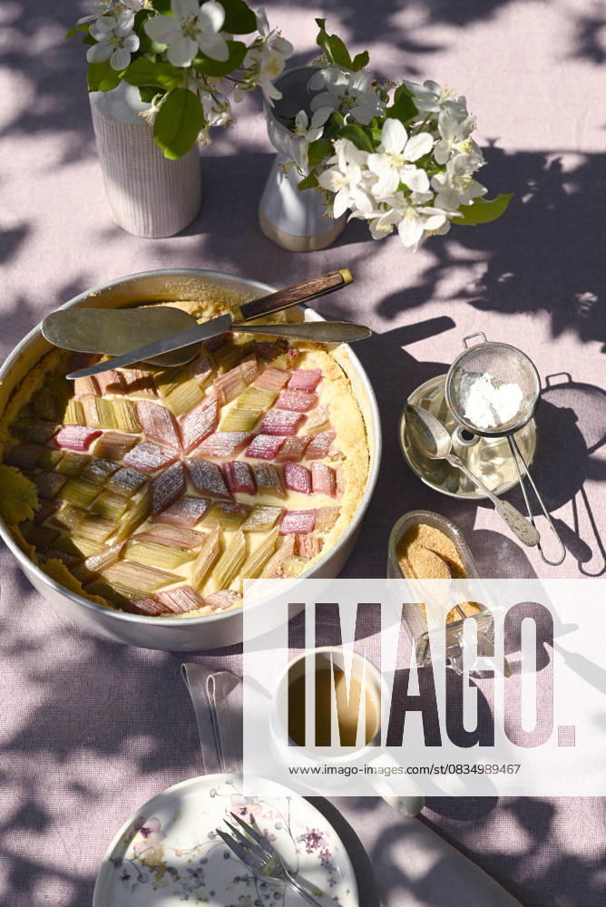 Rhubarb cake and coffee on vintage outdoor table with apple blossoms, Hamburg Hamburg Deutschland Altes Land GISF01228
