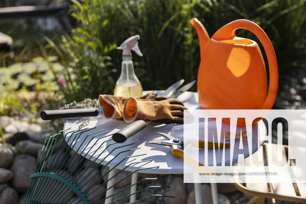 Gardening tools and eco-friendly equipment on outdoor table in sunshine property released, PCLF02581