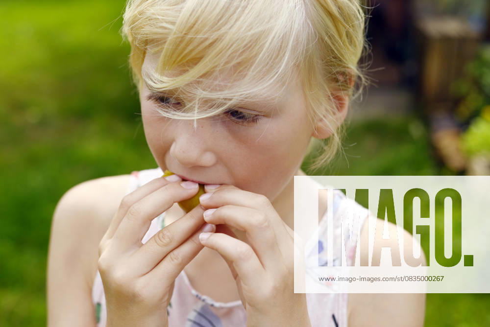 IMAGO Creative, Jahreszeit Sommer, Food, Pflaume Child with blond hair eating plum outdoors during autumn harvest model released, Symbolfoto, Hamburg Hamburg Deutschland Altes Land GISF01234