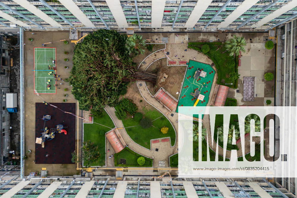 Bilder des Jahres 2025, News September 09 Hong Kong After Typhoon Ragasa An aerial photograph showing a fallen tree at a public housing estate on September 24, 2025 in Hong Kong. (Photo by Vernon Yuen Nexpher Images)
