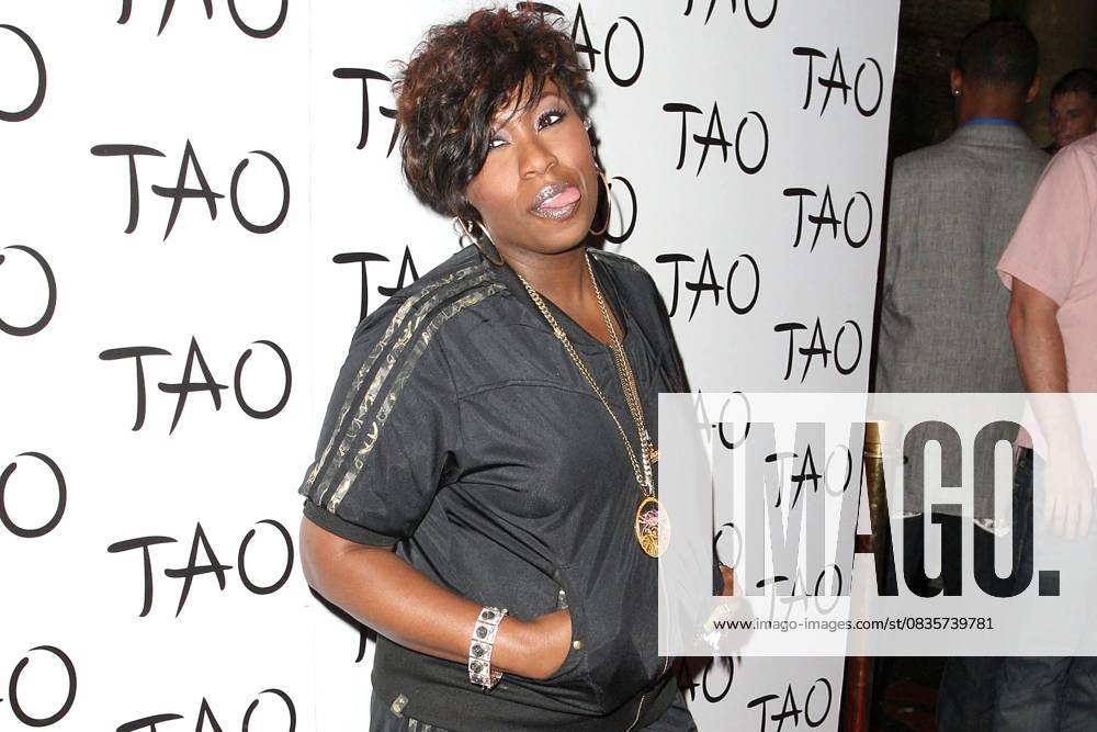 Five-time Grammy award-winning hip-hop superstar Missy Elliott celebrates her birthday at TAO Nightclub at the Venetian Resort Hotel and Casino Las Vegas, Nevada - 11.07.08, United States Judy Eddy WENN 5163179