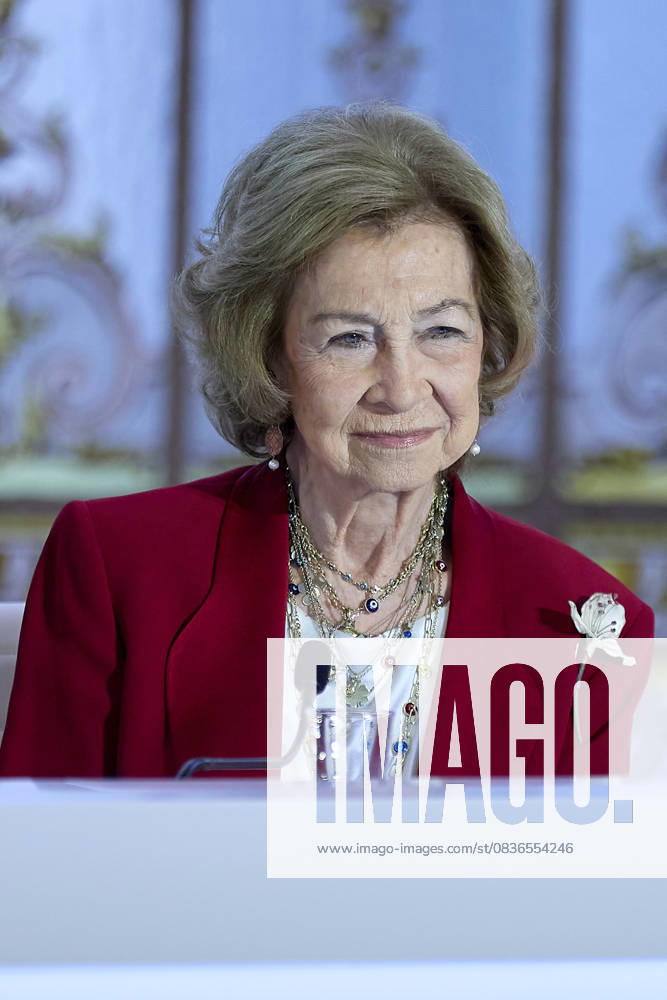 QUEEN SOFêA attends MAPFRE Foundation awards Madrid SPAIN - ZUMAc260 20251008_zep_c260_011