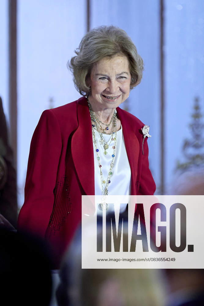 QUEEN SOFêA attends MAPFRE Foundation awards Madrid SPAIN - ZUMAc260 20251008_zep_c260_014