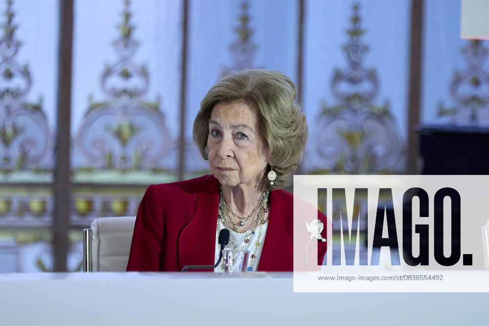 QUEEN SOFêA attends MAPFRE Foundation awards Madrid SPAIN - ZUMAc260 20251008_zep_c260_016