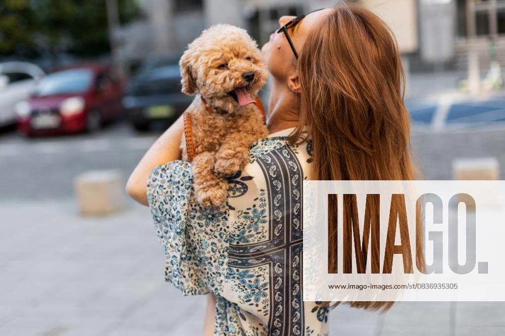 Portrait a Ms, the their small Dog at Sunset at a Street carries Love of animals and Company in a Municipalities Environment 1102831848