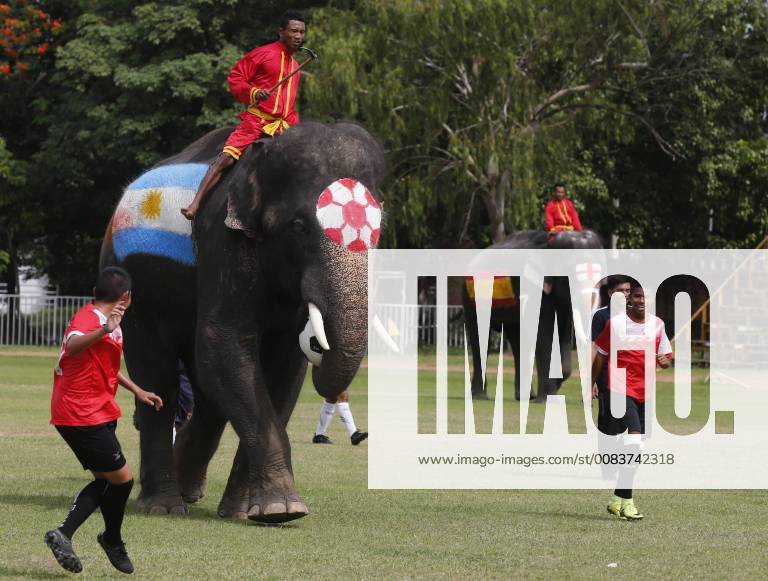 Thailand: World Cup elephant Elephants play soccer with Thai students at a school in Thailand s Ayutthaya province. The match was held as part of a campaign to promote the 2018 World Cup and also to discourage gambling during the competition. Ayutthaya Thailand ChaiwatxSubprasom