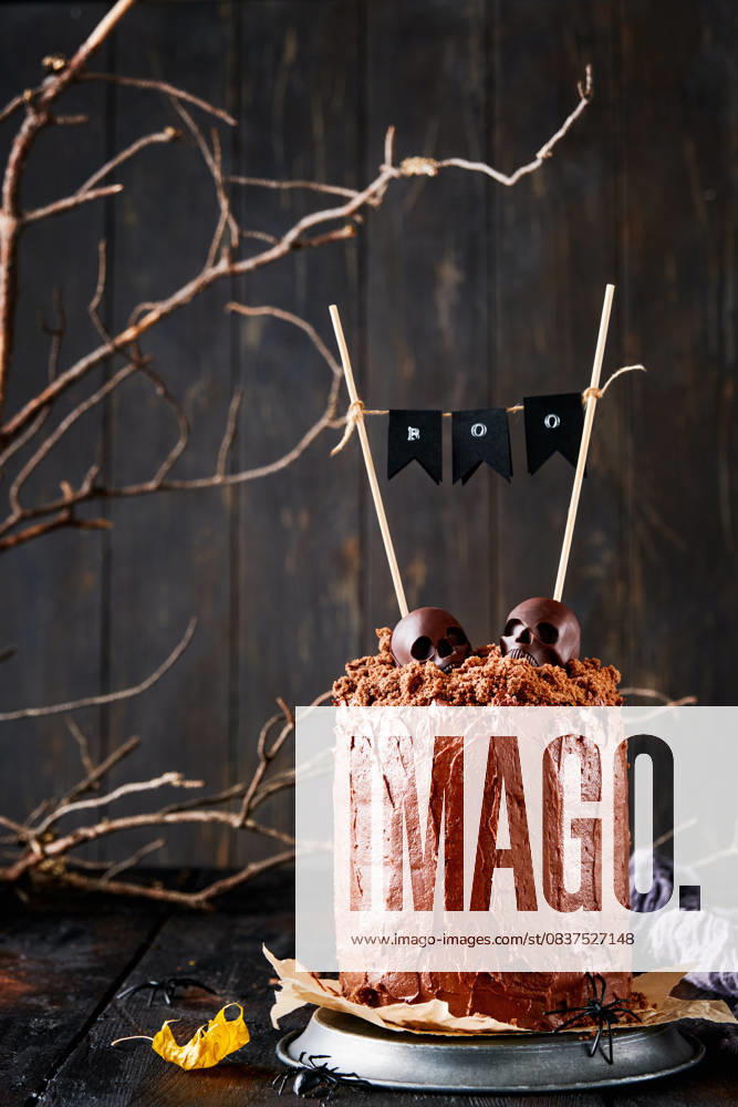 Halloween-Party Hintergrund. Spooky und lustige Schokolade Kuchen geschichtet Brownie mit erdigen Krümel mit dunklen und weißen Schokolade Schädel, alte kahlen Ästen und trockenen gefallenen Blättern, kopieren Raum. Halloween-Party Hintergrund. Spooky und lustige Schokolade Kuchen geschichtet Brownie mit erdigen Krümel mit dunklen und weißen Schokolade Schädel, alte kahlen Ästen und trockenen gefallenen Blättern, kopieren Raum. (License=RF)