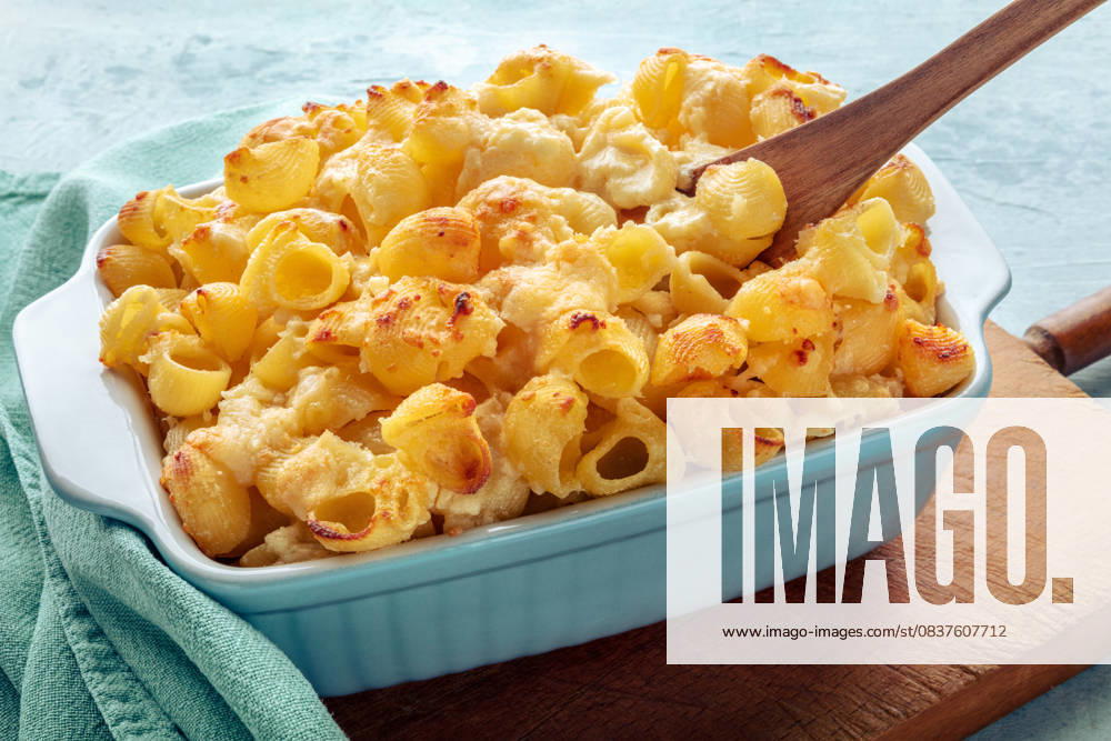Mac and Cheese, Makkaroni-Nudeln, in einem Auflauf mit Sahne gebacken Mac and Cheese, Makkaroni-Nudeln, in einem Auflauf mit Sahne gebacken (License=RF) ,model released, Symbolfoto
