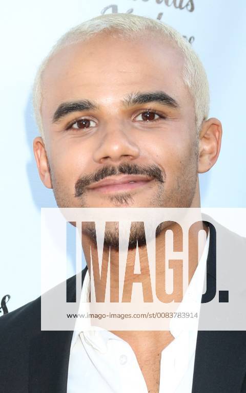 LOS ANGELES - JUN 12: Jacob Artist at the Billy Boy Los Angeles Premiere at the Laemmle Music Hall on June 12, 2018 in Beverly Hills, CA