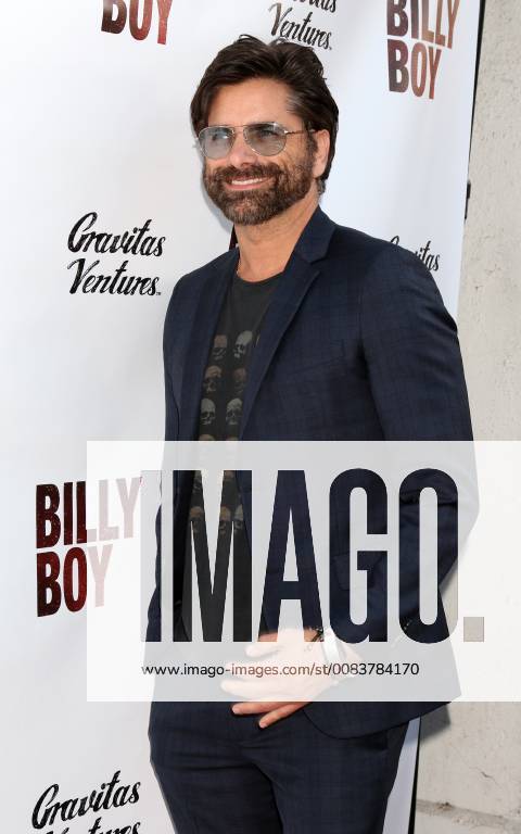 LOS ANGELES - JUN 12: John Stamos at the Billy Boy Los Angeles Premiere at the Laemmle Music Hall on June 12, 2018 in Beverly Hills, CA