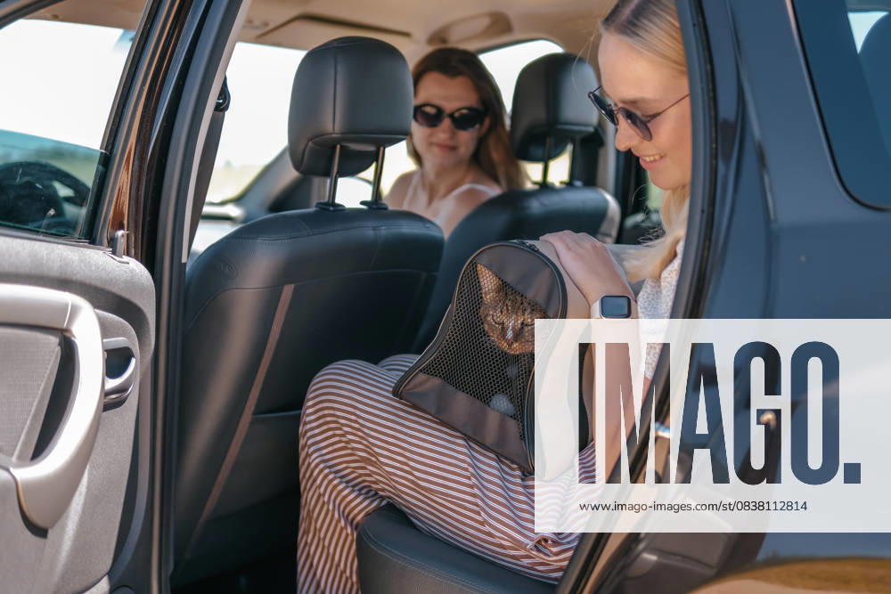 Woman sitting in car with cat in pet carrier during road trip model released, Symbolfoto property released, TSF00406