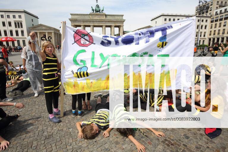 With a performance in front of the Brandenburg Gate, Berlin students protested against the bee dying on Thursday 21 06 18 As bees disguised about 100 first to six-year-olds of the Evangelical School Friedrichshain over the Pariser Platz until they were symbolically splashed with glyphosate and died of it See epd message from 21 06 18 Students demonstrate in Berlin against bee mortality