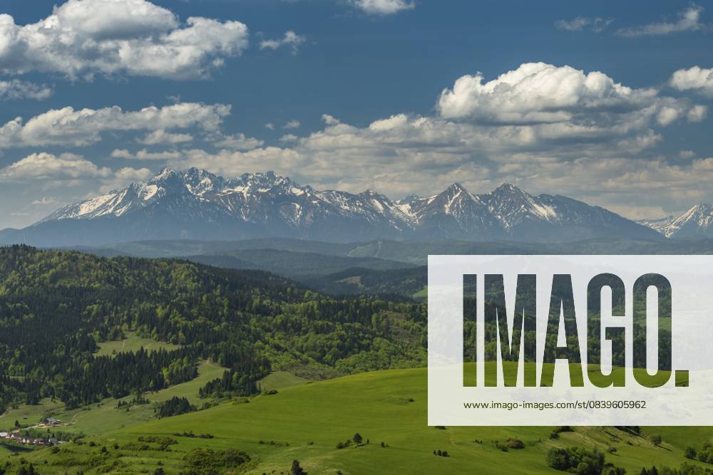 Grüne Hügel des Pieniny Nationalparks und die verschneite Tatra im Hintergrund in Polen Green hills of Pieniny National Park and snowy Tatra Mountains in background in Poland